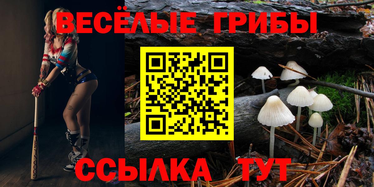 купить наркотики цена  Вход с VPN  Можайск  Псилоцибиновые грибы мицелий  Галлюциногенные грибы Cubensis 